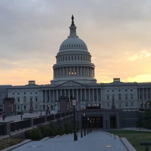 Meet your Posher, Terri